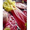 thumbnail image 1 of Tasc Rhubarb Bulbs – Victoria Rhubarb Vegetable Plant Bulb, 1 of 2