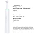 thumbnail image 4 of Dog Tartar Cleaner Electric Professional Dog Teeth Polisher with 4 Brush Head, 4 of 10