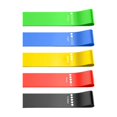 thumbnail image 2 of 5PCS Resistance Bands for Working Out, 2025 New Elastic Exercice Loop Bands for Physical Therapy, Yoga Starter Set of Stretch Bands for Booty Legs, Pilates Flexbands, 2 of 6