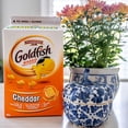 thumbnail image 4 of Goldfish Cheddar Crackers Family Pack, 750g Carton, 4 of 11