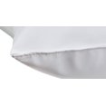 thumbnail image 3 of BodyBest Oreiller en Vinyle Format Standard 18x24 Pouces Essuyable, 3 of 3