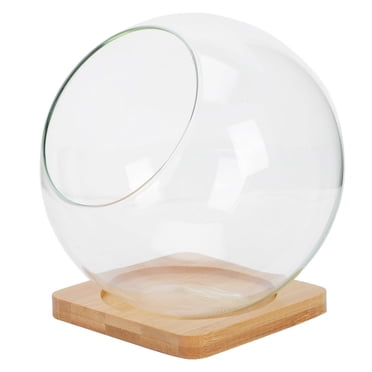 LEEYNEER Terrarium Glass Plant Vase Bottle Air Container Bubble Bowl  Plants Flower Globes Hanging Planter Display