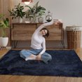 thumbnail image 2 of 8x10 ft Shaggy Area Rugs for Bedroom Living Room Large Fluffy Floor Rugs with Non-Slip Backing, Soft Plush Carpet Rugs Home Décor, 2 of 9
