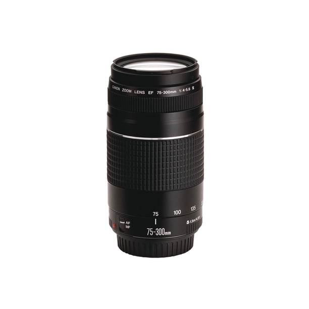 美品 Canon EF 75-300mm 1:4-5.6 III USM レンズ d1807e8d-1691-4c18-b785-