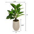 thumbnail image 5 of Plante mince de Lerman Decor en pot en zigzag, 5 of 5