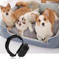 thumbnail image 3 of Cat Collar Camera, Pet Dog Tracking Collar Camera, 120 Wide Angle Magnetic Action Video Recording Device, Wearable Body Device with Back Clip for Outdoor Sports Vlogging, 3 of 7