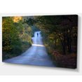 thumbnail image 2 of Walking Alone on Road, 2 of 3