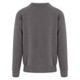 thumbnail image 2 of Awdis Chandail en Molleton Épais pour Hommes Diplômés, 2 of 2