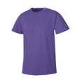 thumbnail image 1 of Champion Mens Basic Tee, S, Purple, 1 of 4