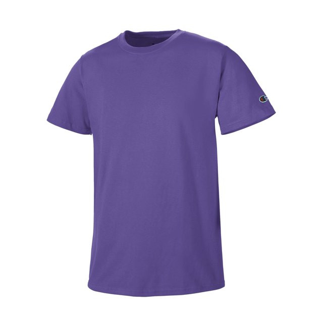 Champion Mens Basic Tee, S, Purple