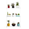 thumbnail image 2 of Transparent Commodity Shelf Multi-Layer Plant Shelf Acrylic Hanging Bracket Elegant Plant Stand Beautiful Hanging Shelf for Plant Pots Flower Pots Window Living Room Bedroom, 2 of 9