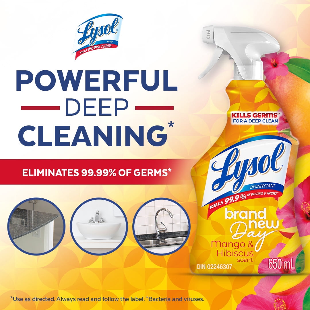 Lysol® Vaporisateur tout usage - Brand New Day Mango Hibiscus, 650 ml