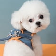 thumbnail image 4 of fastboy Soft Cat Leash And Harness Set For More Comfortable Walking Night Reflection Kitten Harness powder blue M, 4 of 6