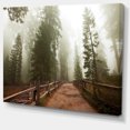 thumbnail image 2 of Foggy Sequoya National Park - Oversized Landscape Canvas Art, 2 of 3