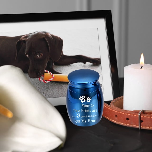 Urne pour Animaux Pot Commémoratif Chats Chien Produits Funéraires Urne en Alliage Scellée