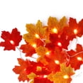 thumbnail image 2 of LED Light String Halloween Yard Decoration Lamp Thanksgiving Party Lighting  40 LED  6m  Flash  Leaf, 2 of 8