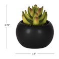 thumbnail image 3 of DesignOvation 3.75"H Tabletop Artificial Succulent in Black Ceramic Pot, 3 of 9