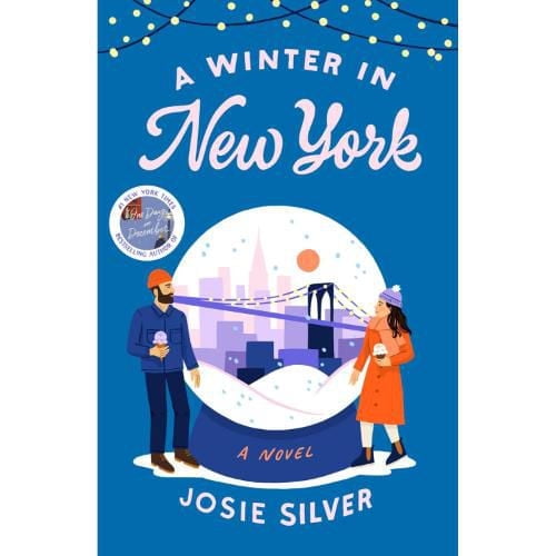 A Winter in New York A Novel