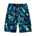 thumbnail image 1 of LSLJS Shorts Décontractés pour Hommes Style Vacances Impression Spéciale Impression Plage Séchage Rapide. Shorts pour Hommes, 1 of 2
