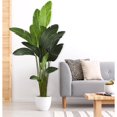 thumbnail image 4 of Nearly Natural 5583 Travelers Palm Artificial Tree, 4 of 4