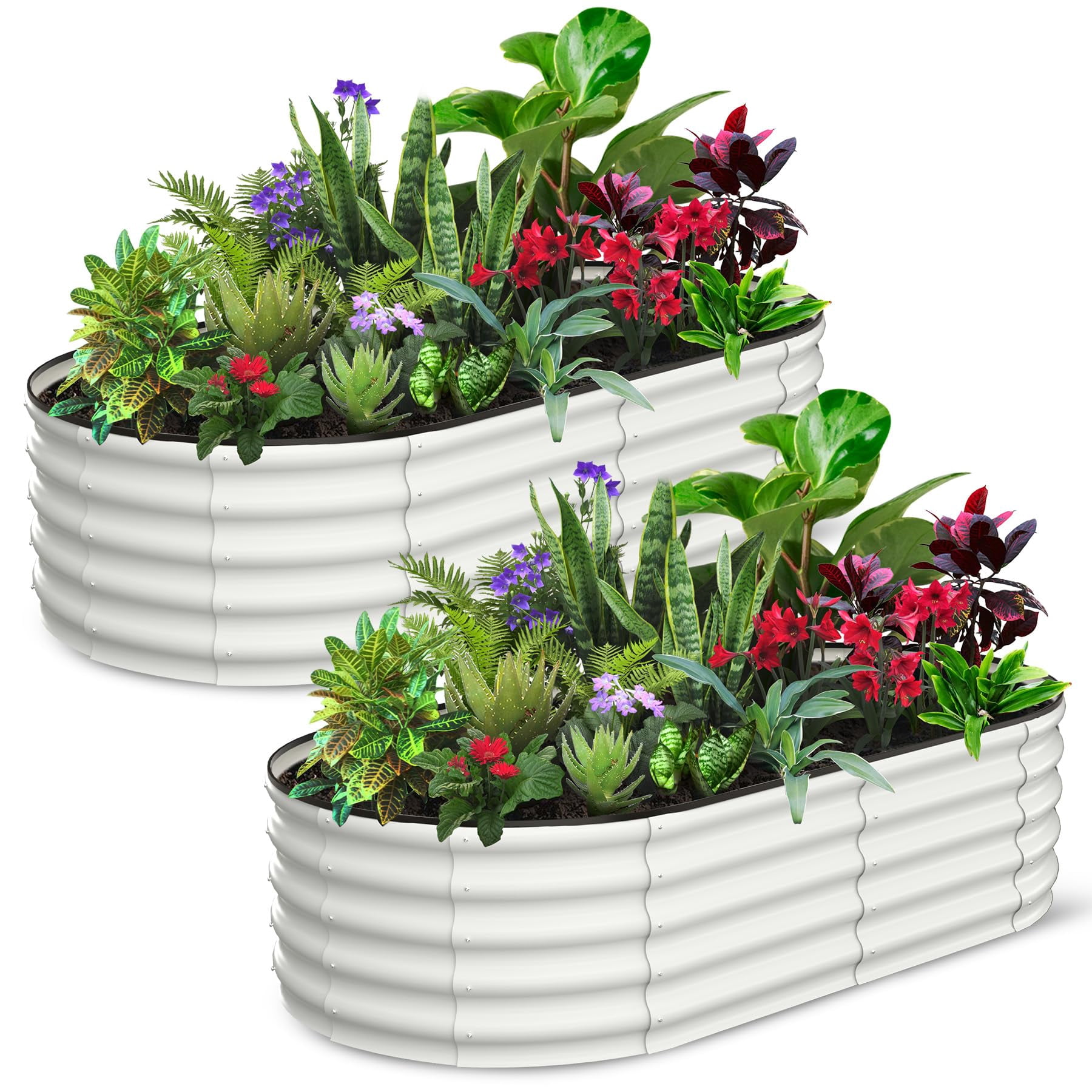 EDTara Large Oval Raised Planter Beds, 2-Pack Metal Garden Boxes With Open-Ended Base for Growing Vegetables and Flowers