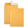 thumbnail image 1 of 10x13 Catalog Peel & Seal Envelope, Brown Kraft, 1 of 3