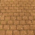 thumbnail image 1 of Ahgly Company Tapis d'Intérieur Lavable en Machine Carré Acajou Brun, 8 Pieds Carré, 1 of 7