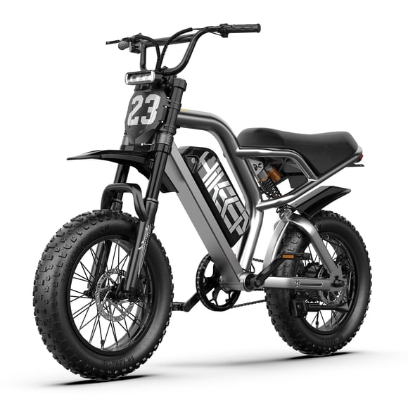 16" Teenager Fat Tire Electric Bike, 750W (1500W Peak) Motor, 48V 15Ah Removable Battery, Full Suspension, UL2849 Certified