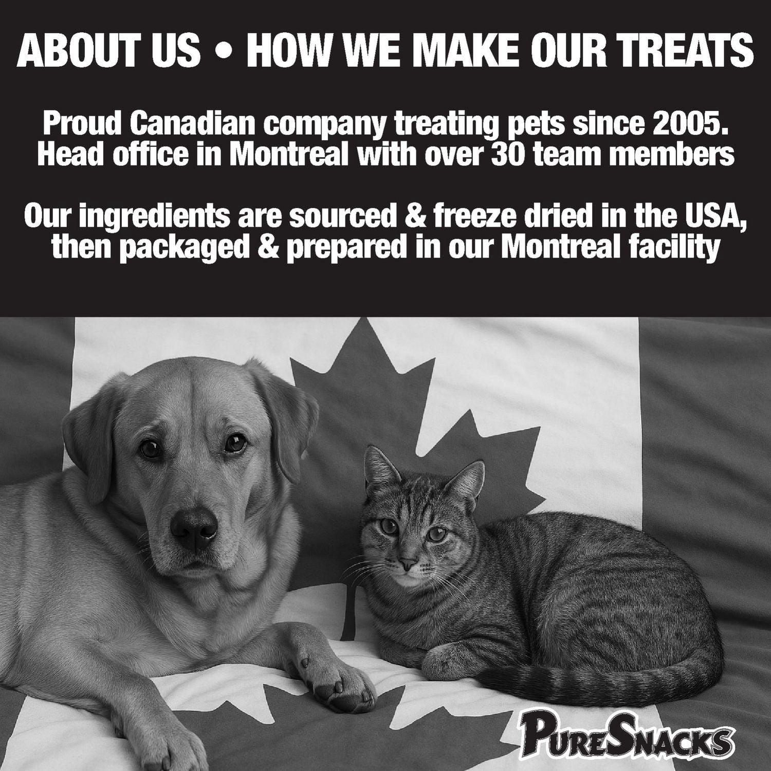 PureSnacks gâteries séchées à froid de foie de boeuf pour chien