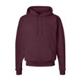 thumbnail image 1 of Fleece Ecosmart Hooded Sweatshirt, 1 of 1