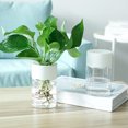 thumbnail image 2 of LCXmlly Plant Container Selfwatering Flower Pot Vegetable Herb Planter Home Decoration, 2 of 6
