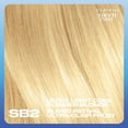 thumbnail image 3 of Clairol Nice'n Easy Permanent Hair Dye, 3 of 9