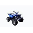 thumbnail image 4 of Tao Motor Raptor 125 VTT de Taille Moyenne Édition Limitée (Assemblage Requis), Bleu, 4 of 7