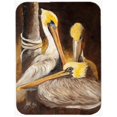 thumbnail image 1 of Carolines Treasures JMK1146LCB Brown Pelicans Glass Cutting Board- Large, 1 of 1