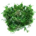 thumbnail image 1 of Fake Moss Natural Looking Easy To Care For Various Decorations Ideal For Potted Plants And Crafts, 1 of 8