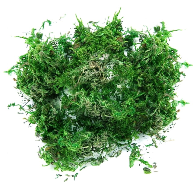 Fake Moss Natural Looking Easy To Care For Various Decorations Ideal For Potted Plants And Crafts