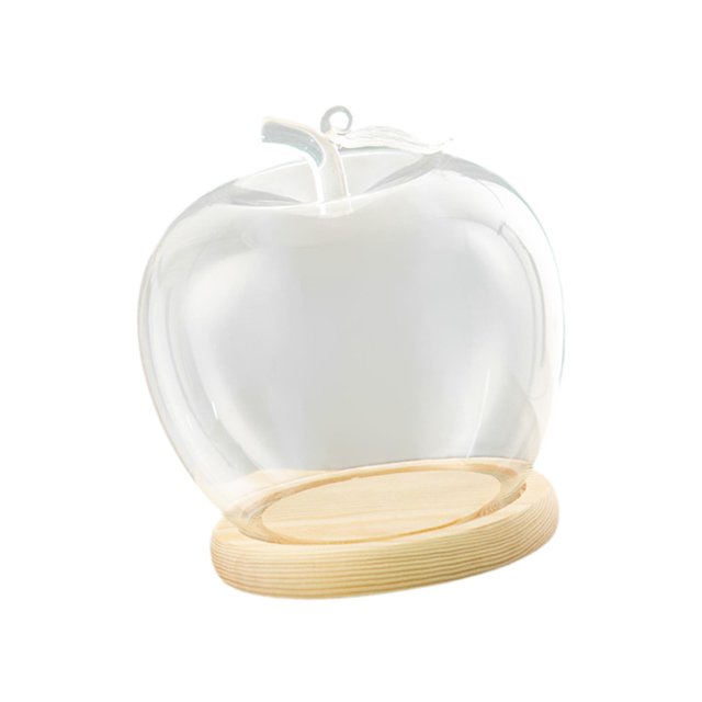 simhoa Clear Glass Dome Jar Empty Display for Collectibles Keepsakes Tabletop Shelf Beige