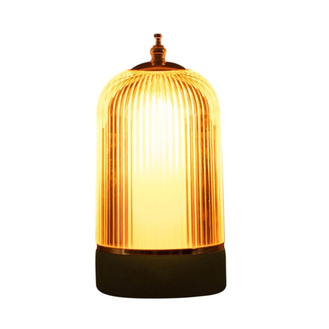 Rechargeable Night Light Lamp Dimmable Portable Wireless Birdcage Table Lamp with Touch Control 10 cm Diameter 19 cm Height Metal and Acrylic