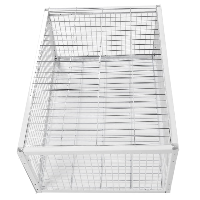 Cage Piège à Oiseaux, Cage Pliante à Entrée Unique pour Animaux, Piège pour Pigeons de Course, Colombes, Perroquets, Oiseaux