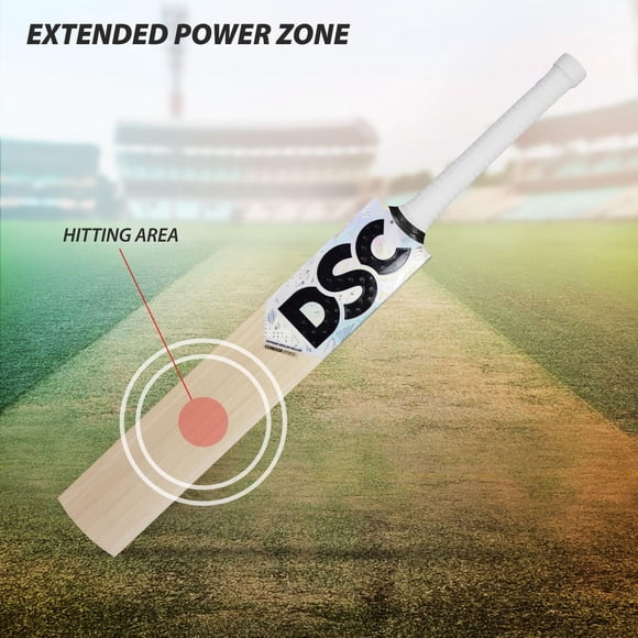 DSC Condor Atmos Chauve-Souris de Cricket en Saule Anglais pour Hommes, Manche Court Prête à Jouer, Taille 3 / Chauve-Souris Légère avec Housse