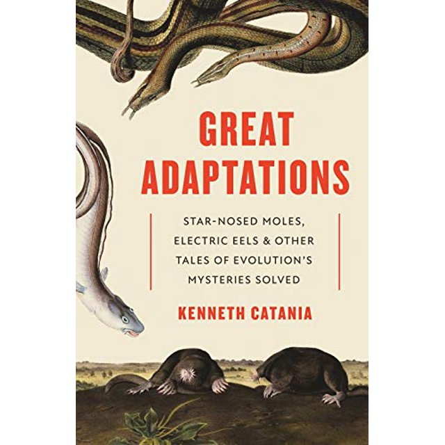 Grandes Adaptations : Taupes au Nez Étoilé, Anguilles Électriques, et Autres Contes de l'Évolution Mystères Résolus