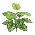 thumbnail image 3 of Artificial Plants Home Decor Green Photo Props Green Garden Decoration for Shelf F, 3 of 9