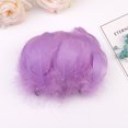 thumbnail image 1 of EGNMCR Dreamcatcher 100pc Colorful Feathers 6-12 Cm In Small Feather DIY Decoration The simulation feathers, 1 of 2