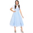 thumbnail image 1 of Costume Deluxe Kansas Girl Grande Taille, 1 of 5