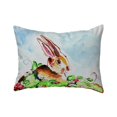 thumbnail image 1 of Betsy Drake NC815 16 x 20 in. Jack Rabbit Right No Cord Pillow, 1 of 1