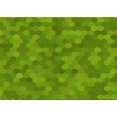 thumbnail image 1 of Ahgly Tapis Rectangulaire Lavable en Machine Intérieur Transitionnel Vert Lime Foncé, 2 Pieds x 5 Pieds, 1 of 7