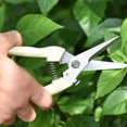 thumbnail image 2 of Shisuyan Professional Garden Stainless Steel Pruner Shears Tree Branch Pruning Shears, 2 of 9