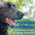 thumbnail image 4 of Cool mat in summer Cool cold feeling Cold dog nest mat, 4 of 5