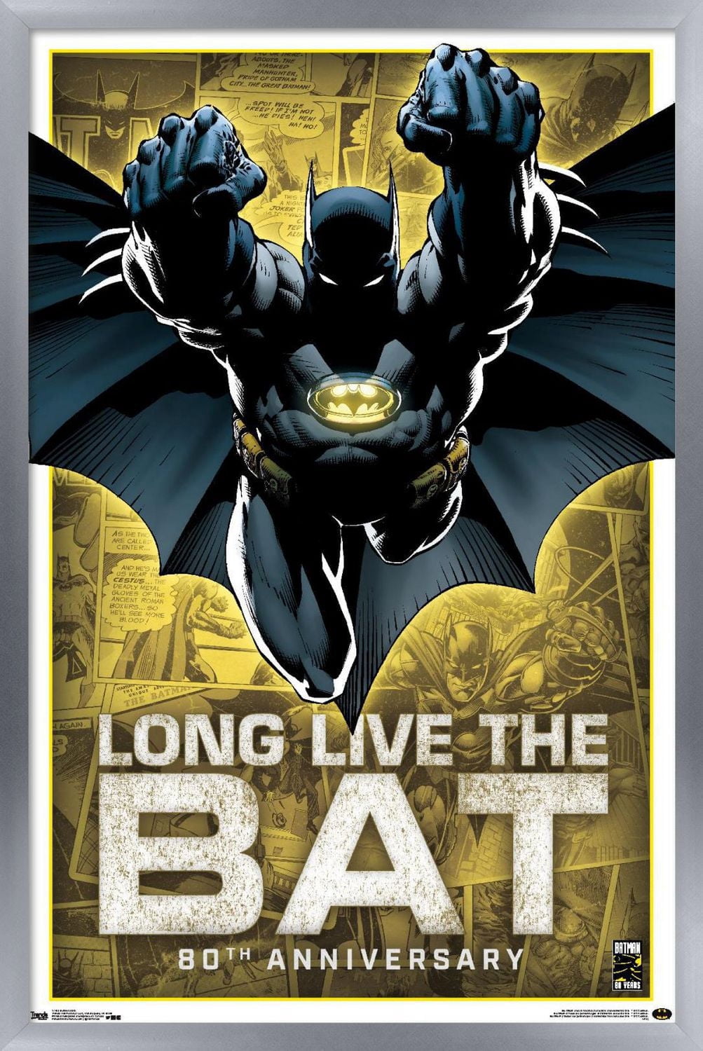 DC Comics - Batman - 80th Anniversary Wall Poster, 22.375" x 34"