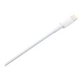 thumbnail image 4 of Apple Lightning to USB Cable (1 m), 4 of 4